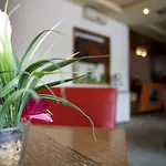 Gold Club & Casino Hotel 3*