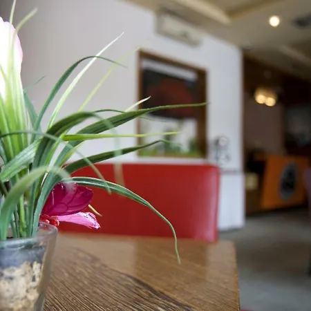 Gold Club & Casino Hotel 3*